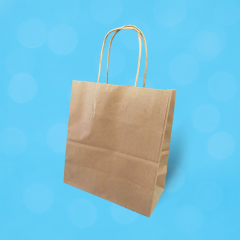 Kahverengi Kraft Burgu Saplı Virgin Çanta 20x10x22