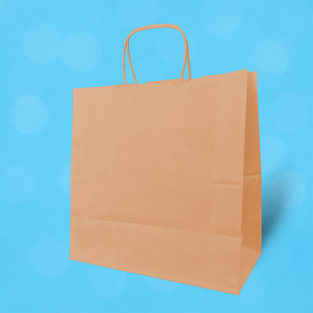 Kahverengi Kraft Burgu Saplı Virgin Çanta 32x20x32