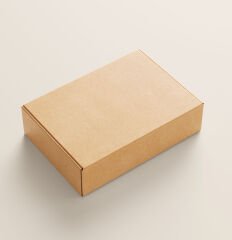 Burger Kutusu 22x12x10,5